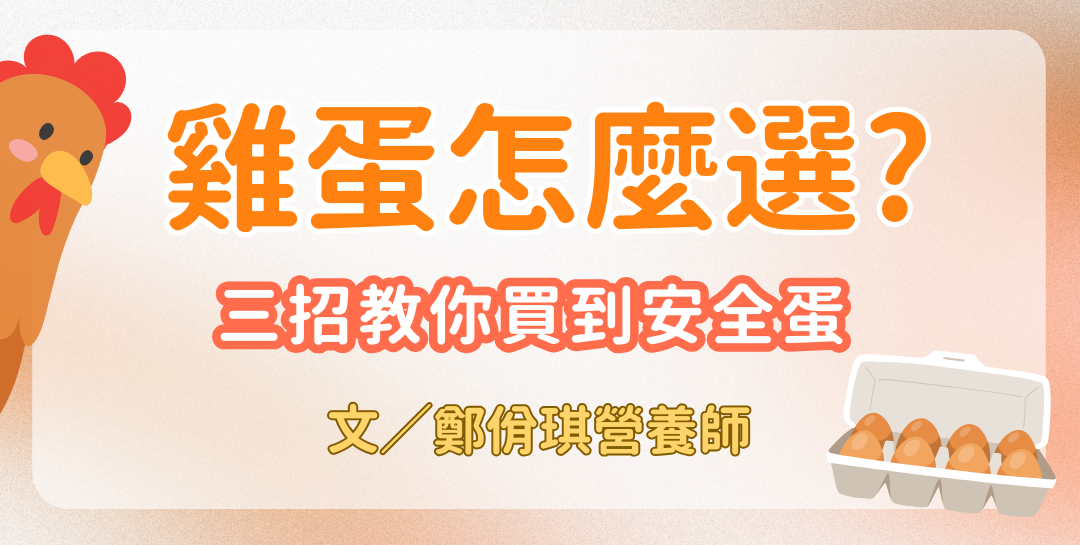 雞蛋怎麼選最安全？芬普尼標準、沙門氏菌風險、正確保存與選蛋指南一次看懂