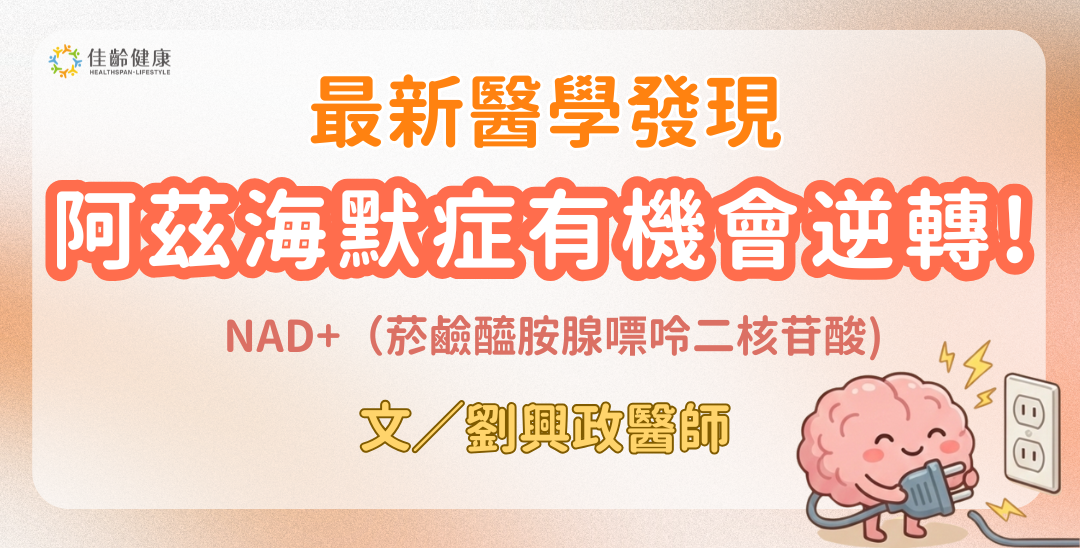 阿茲海默症不再是「不歸路」!「大腦韌性」可以重建