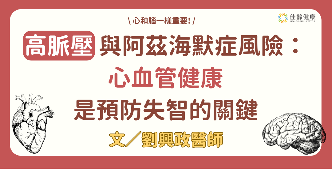 高脈壓與阿茲海默症風險：心血管健康是預防失智的關鍵！ 文/劉興政醫師